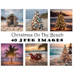Christmas on the Beach Photo Images Coastal Christmas Digital Download Images Jingle Shells Christmas Tree Tropical
