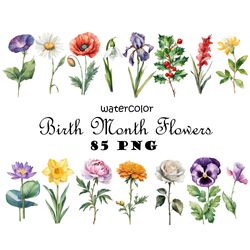Birth Month Flowers Watercolor Clipart PNG Digital Bundle Garden Flowers Graphics PNG Digital Bundle