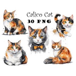 Calico Cat Watercolor Clipart PNG Bundle Cute Baby Cat Clipart Calico Cat DIY ornaments Calico Cat Graphics Calico PNG