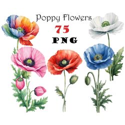 Red Blue Pink White Poppy Flower Watercolor Clipart PNG Colorful Poppy Flower Illustration Poppy Flower Graphics Instant