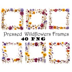 Pressed Dried Wildflowers Border Frames PNG Boho Wildflowers Border Frames Real Plants Embellishments PNG Pressed Flower