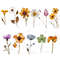 wildflowerspress3.jpg