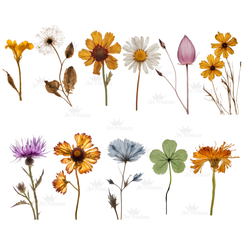 wildflowerspress3.jpg
