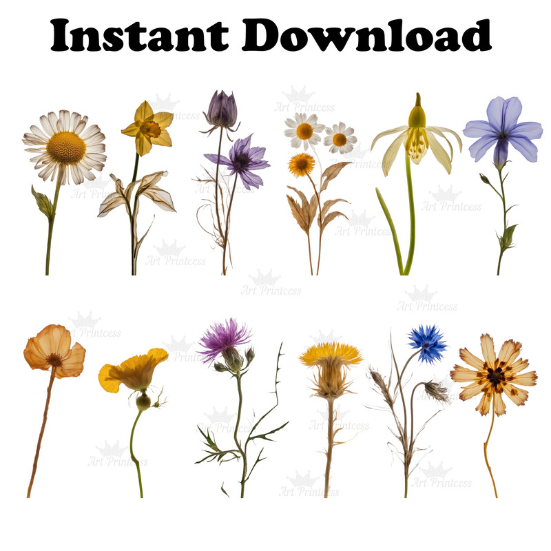 wildflowerspress4.jpg