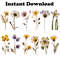 wildflowerspress5.jpg