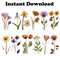 wildflowerspress6.jpg