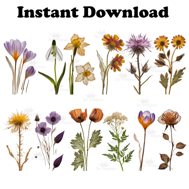 wildflowerspress6.jpg
