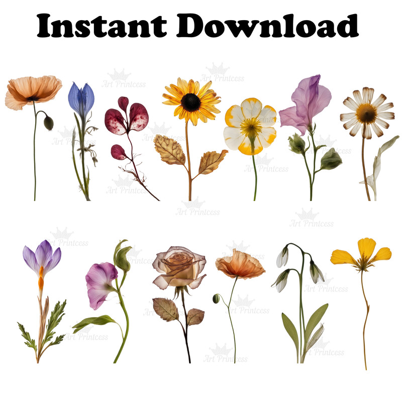 wildflowerspress7.jpg