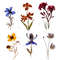 wildflowerspress9.jpg