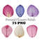 Pressed Flowers Petals 75 Digital Clipart Bundle Macro Photography Flower Petals Pressed Wildflower 1