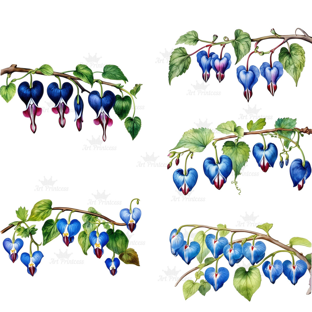 Bleeding Heart Flower Vine Watercolor Clipart PNG Heart Shaped Flowers Illustrations Clipart Transp 2