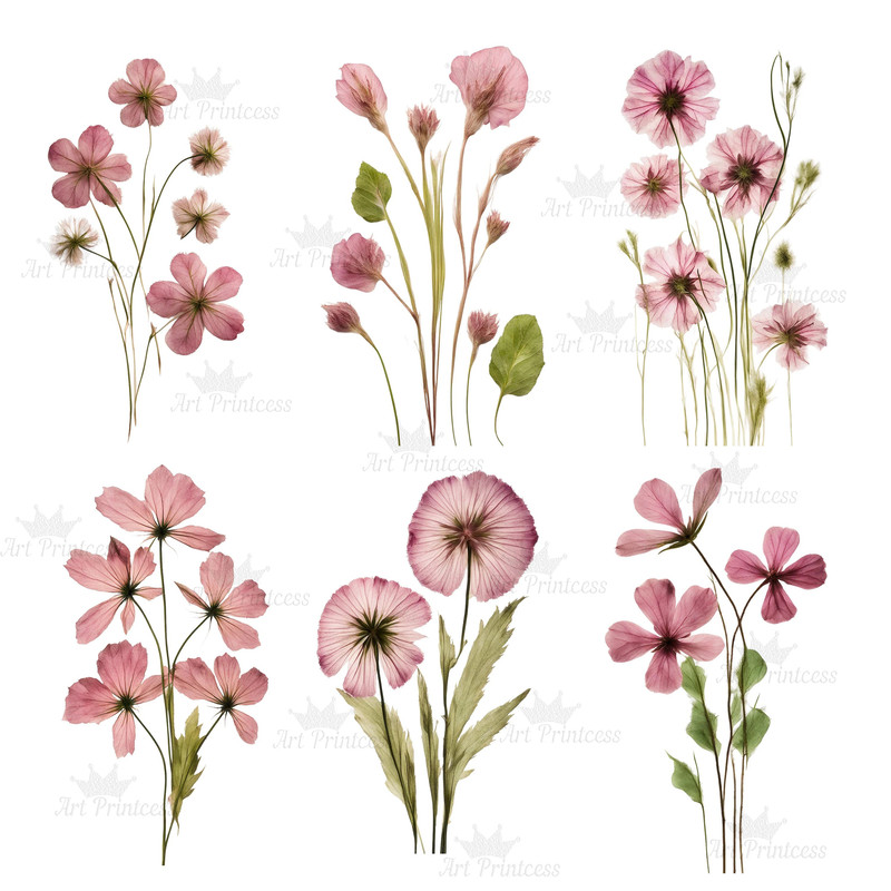 Digital Pink Pressed Flowers Clipart 55 PNG Dried Pink Flowers Transparent Background Pressed Pink 9