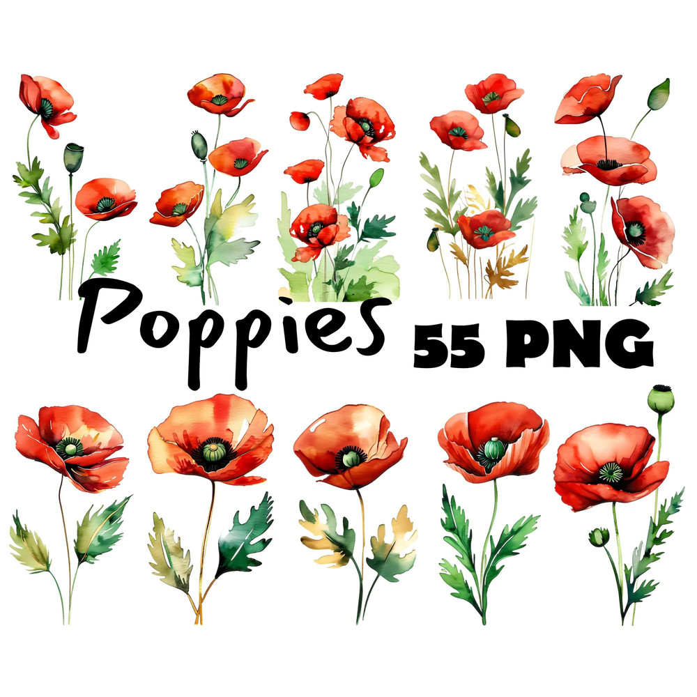 Red Poppy Flowers Abstract Watercolor Digital Download Clipart Bundle Poppy Flowers Illustration Tr 0
