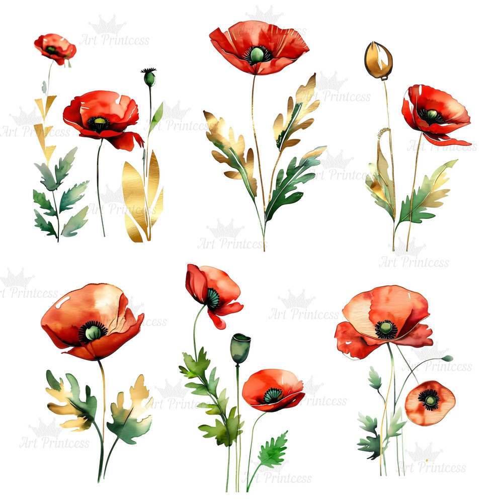 Red Poppy Flowers Abstract Watercolor Digital Download Clipart Bundle Poppy Flowers Illustration Tr 7
