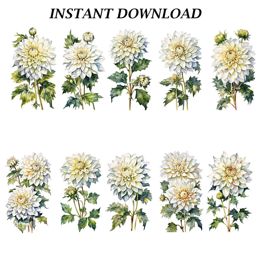 Dahlia Flower Clipart PNG Watercolor Dahlia Flower Clipart Digital Bundle Printable PNG Files For C 2