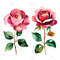 Abstract Watercolor Roses Transparent Background Clipart Bundle Digital Download Floral Clipart For 1