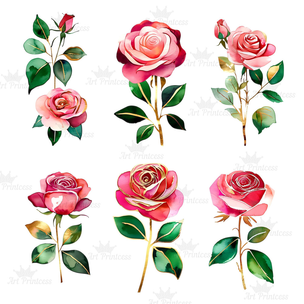 Abstract Watercolor Roses Transparent Background Clipart Bundle Digital Download Floral Clipart For 3