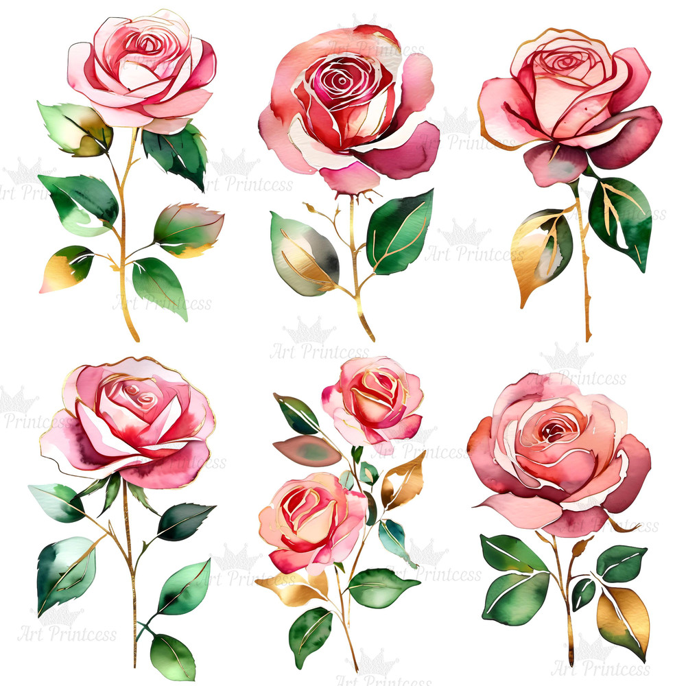 Abstract Watercolor Roses Transparent Background Clipart Bundle Digital Download Floral Clipart For 4