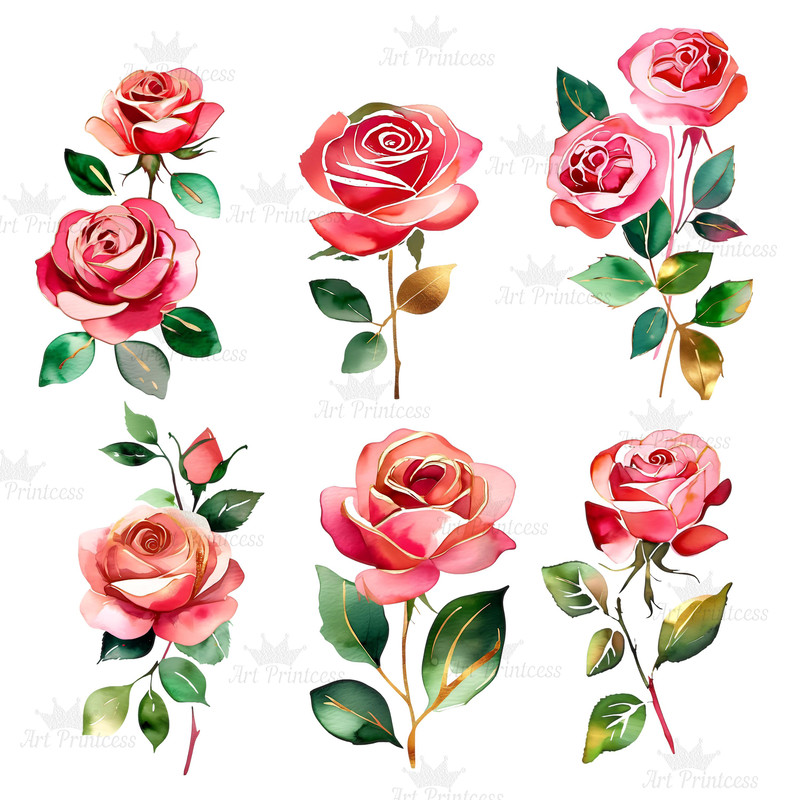 Abstract Watercolor Roses Transparent Background Clipart Bundle Digital Download Floral Clipart For 5