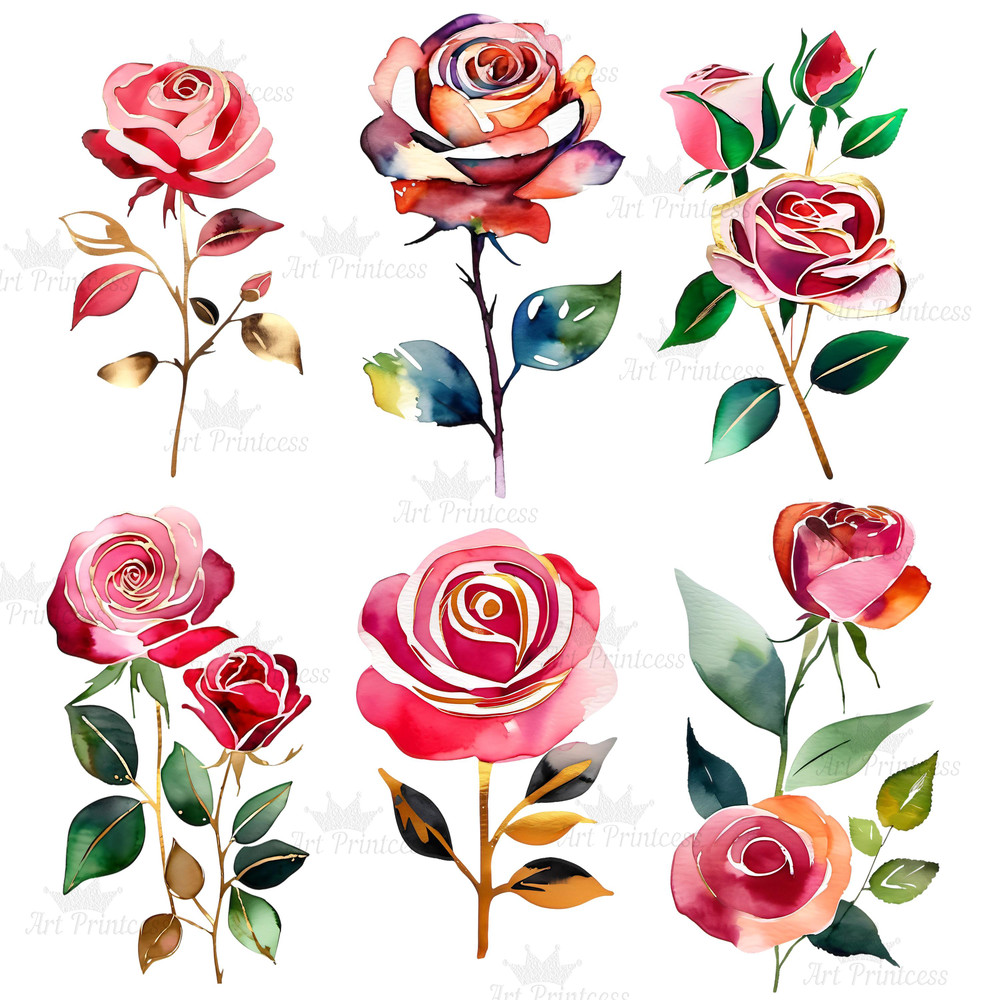 Abstract Watercolor Roses Transparent Background Clipart Bundle Digital Download Floral Clipart For 6
