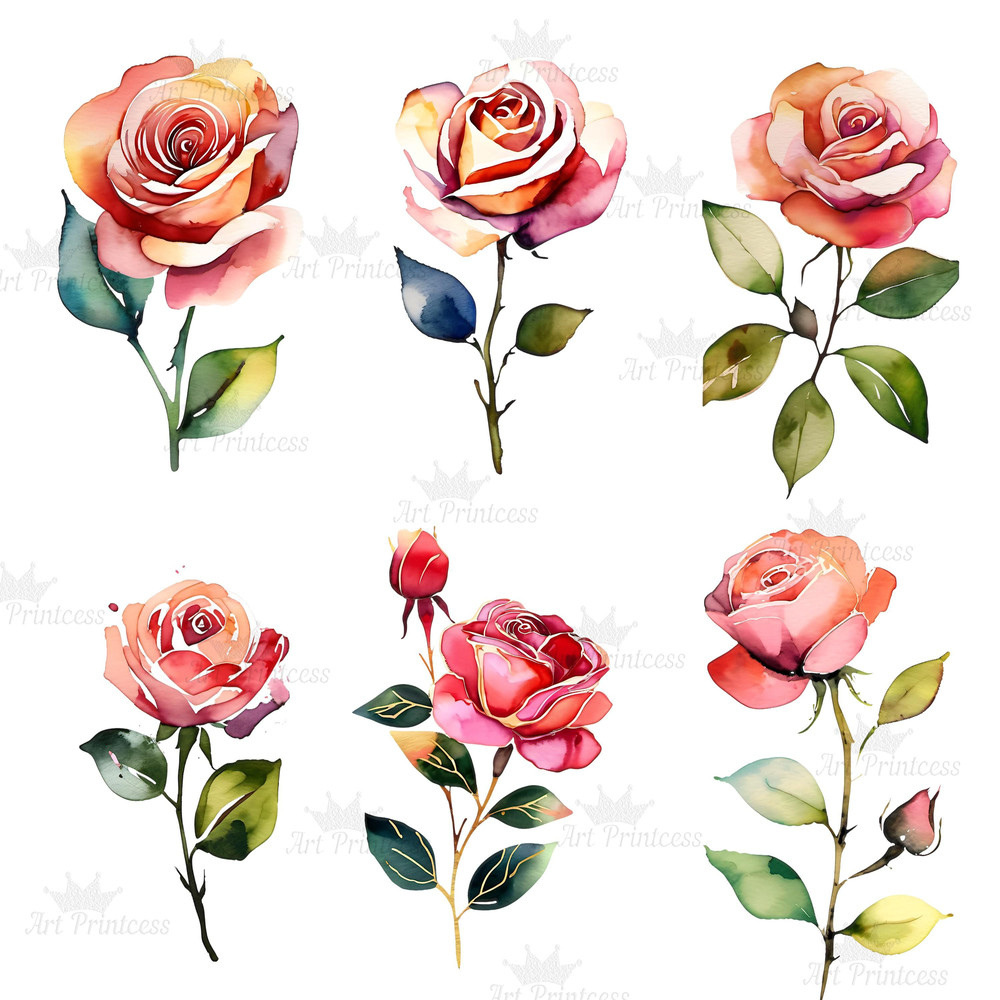 Abstract Watercolor Roses Transparent Background Clipart Bundle Digital Download Floral Clipart For 7