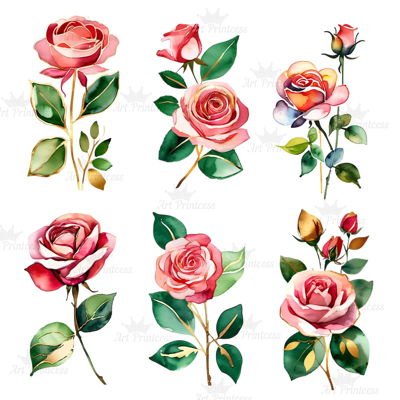 Abstract Watercolor Roses Transparent Background Clipart Bundle Digital Download Floral Clipart For 8