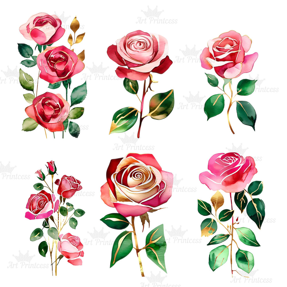 Abstract Watercolor Roses Transparent Background Clipart Bundle Digital Download Floral Clipart For 9