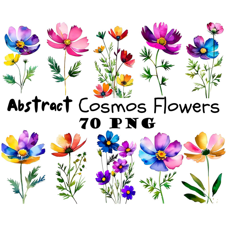 Abstract Cosmos Flower Watercolor Clipart PNG Digital Download Bundle Wildflowers Clipart Illustrat 0