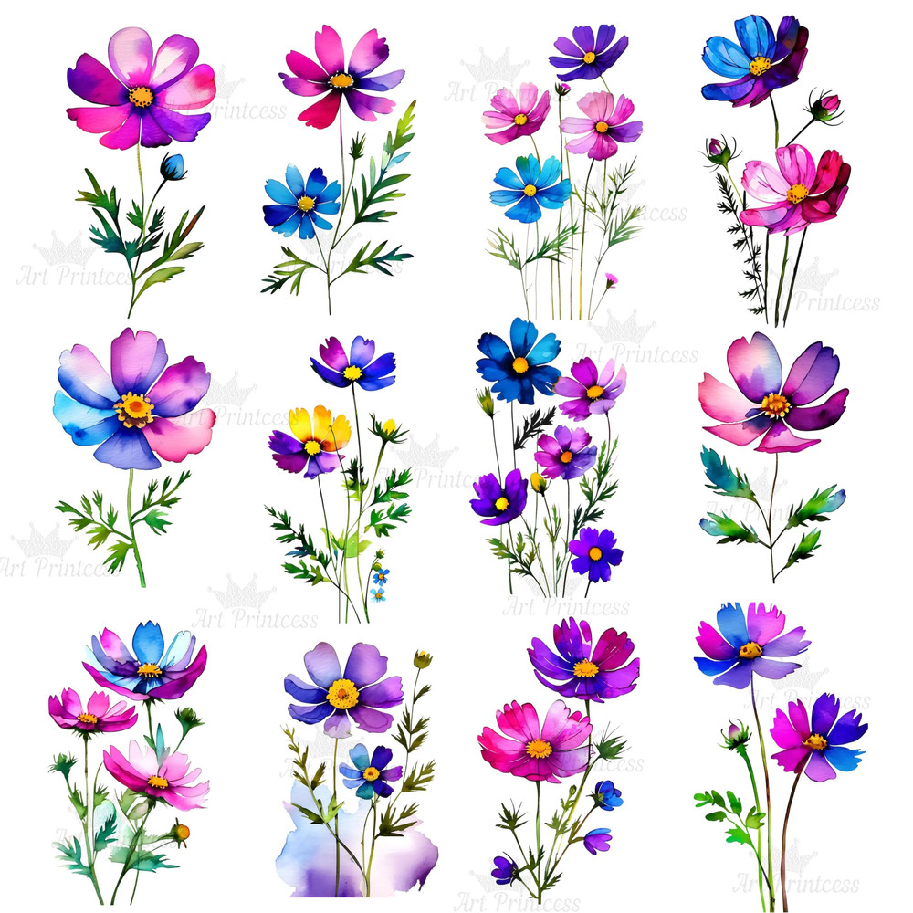 Abstract Cosmos Flower Watercolor Clipart PNG Digital Download Bundle Wildflowers Clipart Illustrat 1