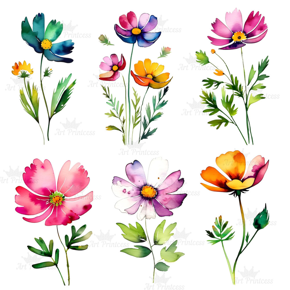 Abstract Cosmos Flower Watercolor Clipart PNG Digital Download Bundle Wildflowers Clipart Illustrat 5