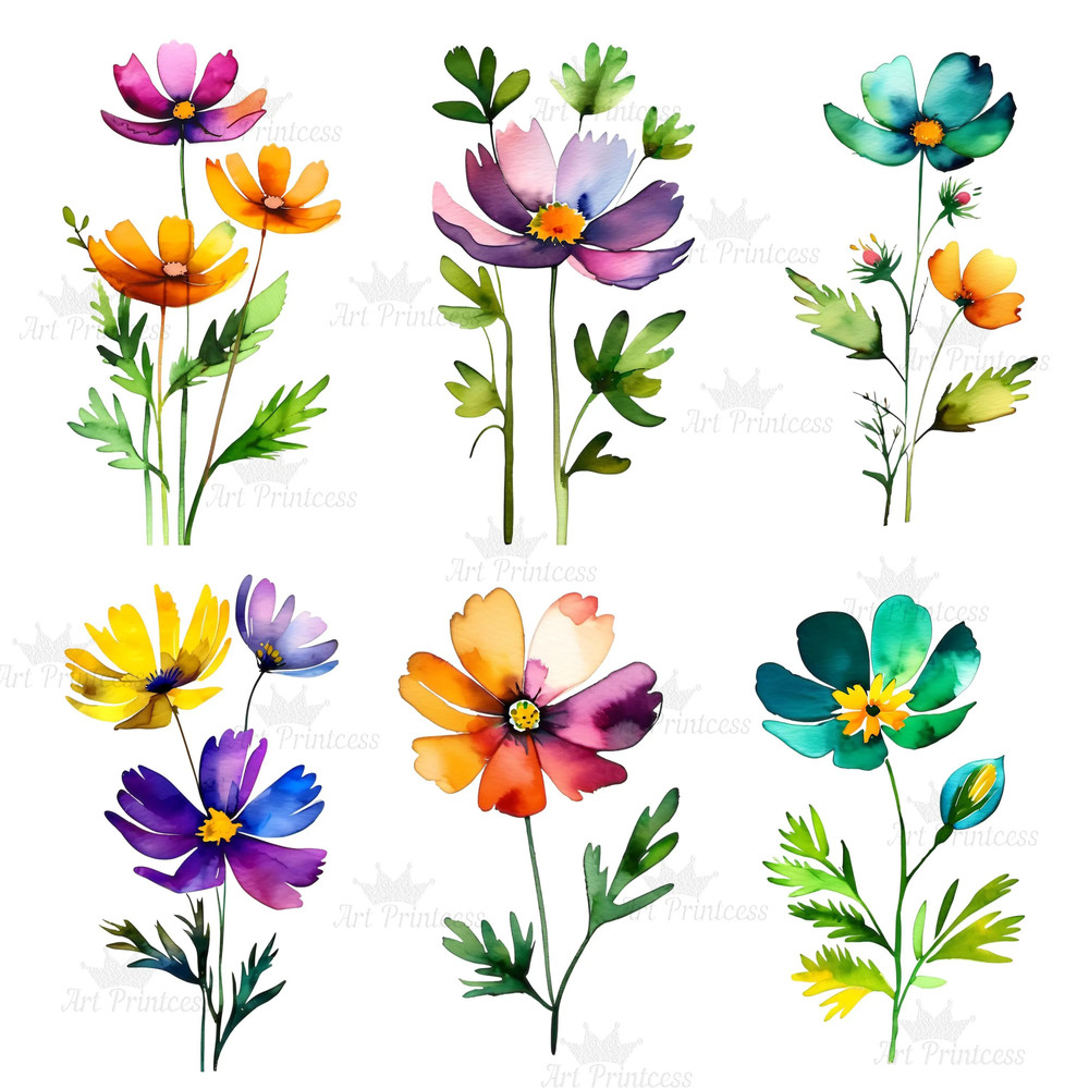 Abstract Cosmos Flower Watercolor Clipart PNG Digital Download Bundle Wildflowers Clipart Illustrat 6