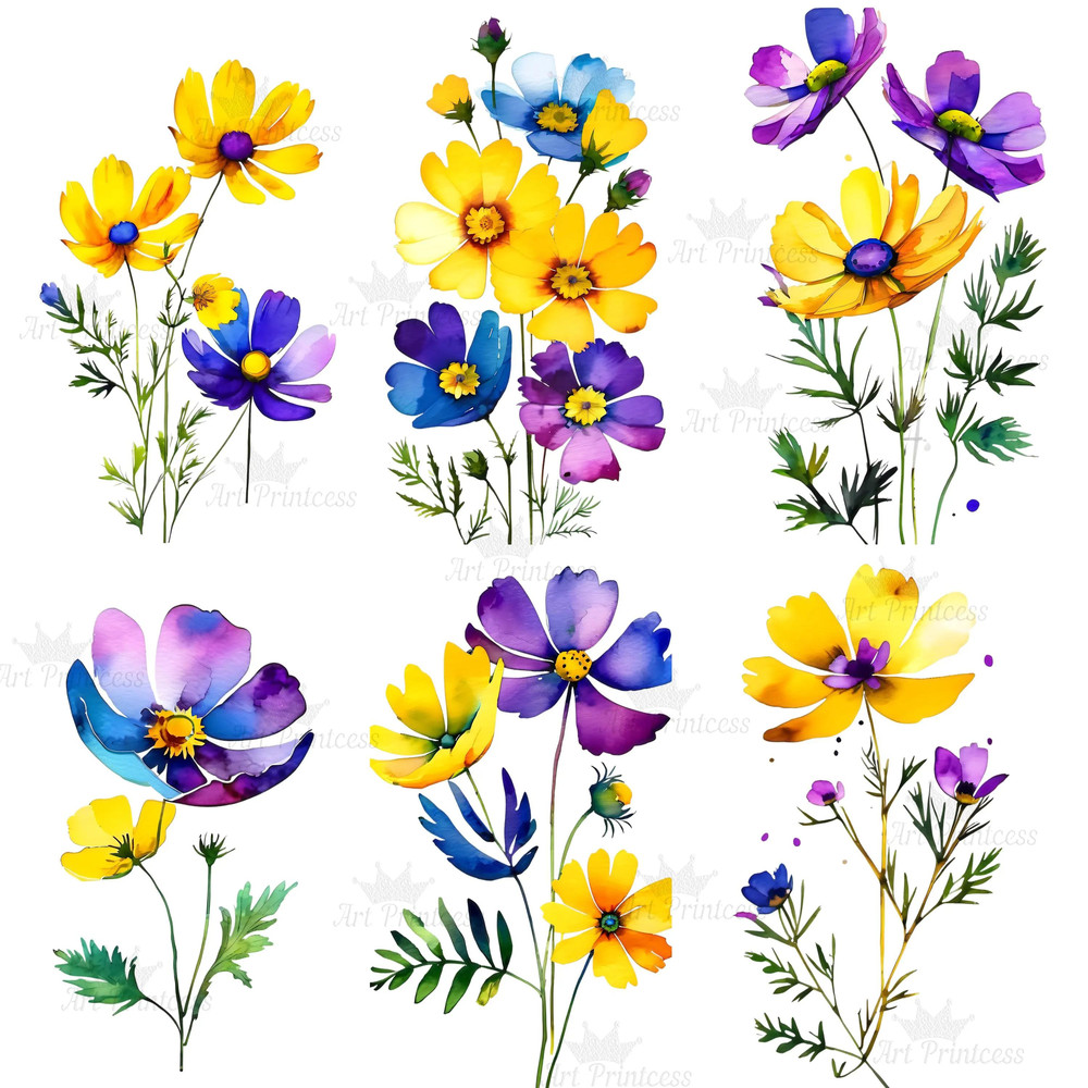 Abstract Cosmos Flower Watercolor Clipart PNG Digital Download Bundle Wildflowers Clipart Illustrat 8