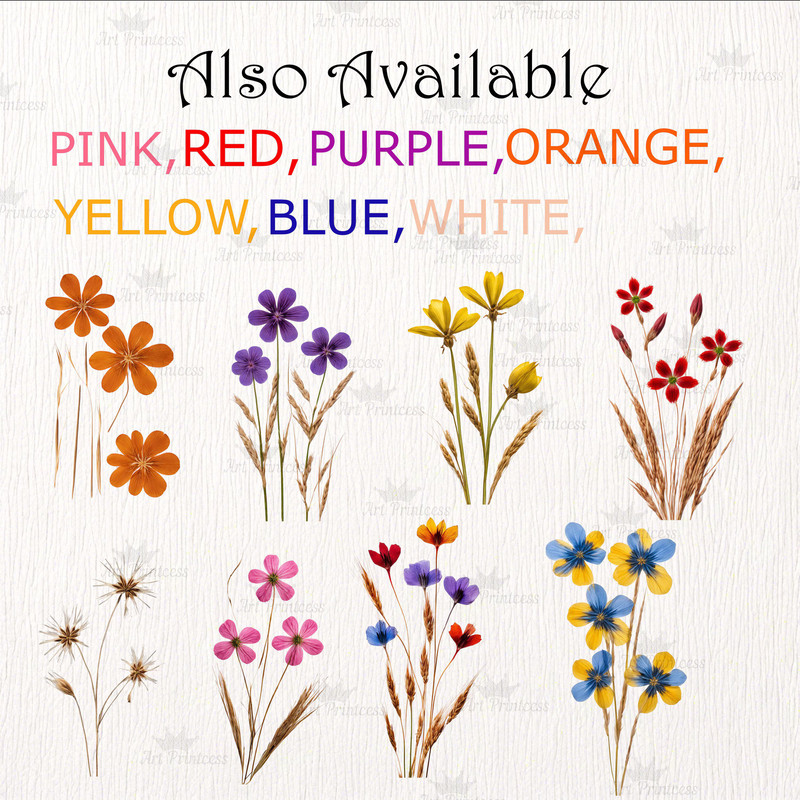 Real Dried Pressed Wildflowers Photo Clipart Bundle PNG Dried Plants PNG Transparent Background Pre 9