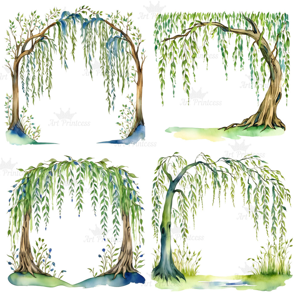 Weeping Willow Tree Border Frame Transparent Background Clipart Bundle For DIY Invitations Cards Pr 8