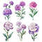 Carnation Flower Watercolor Clipart PNG Bundle Purple Red Yellow White Carnation Flower Illustratio 6