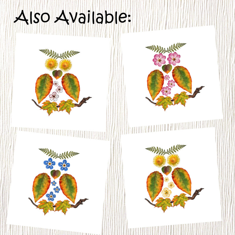 Pressed Flowers Owl Art Poster Pressed Wildflowers Art Printable Wall Decor Pressed Buttercups Flow 8