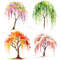 4 Seasons Weeping Willow Tree Clipart Watercolor PNG Digital Download Seasonal Tree Art For Prints  1