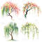 4 Seasons Weeping Willow Tree Clipart Watercolor PNG Digital Download Seasonal Tree Art For Prints  2