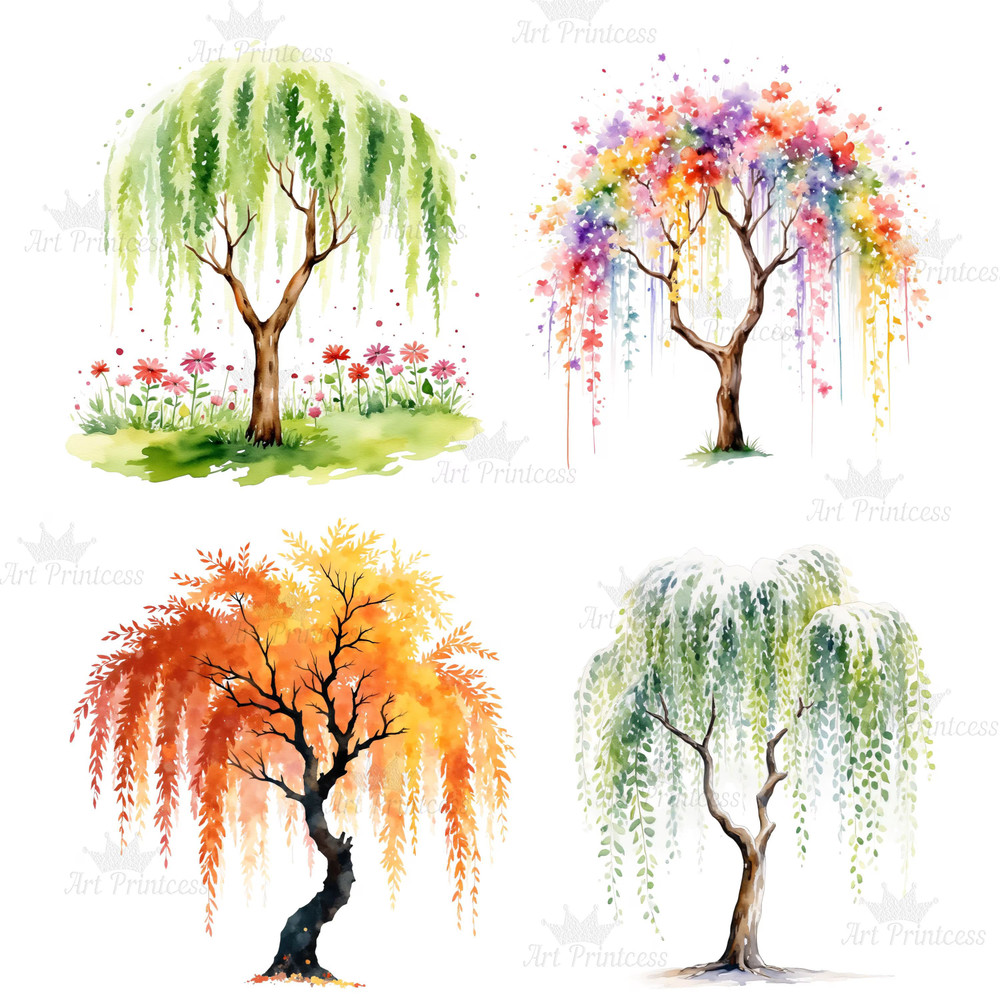 4 Seasons Weeping Willow Tree Clipart Watercolor PNG Digital Download Seasonal Tree Art For Prints  3