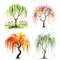 4 Seasons Weeping Willow Tree Clipart Watercolor PNG Digital Download Seasonal Tree Art For Prints  3