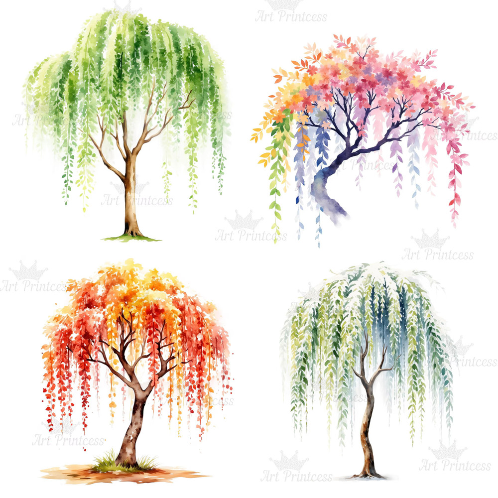 4 Seasons Weeping Willow Tree Clipart Watercolor PNG Digital Download Seasonal Tree Art For Prints  4