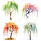 4 Seasons Weeping Willow Tree Clipart Watercolor PNG Digital Download Seasonal Tree Art For Prints  4