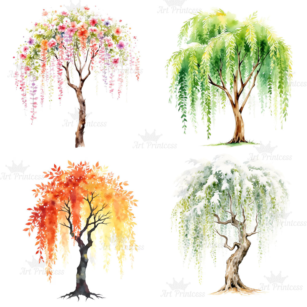 4 Seasons Weeping Willow Tree Clipart Watercolor PNG Digital Download Seasonal Tree Art For Prints  5