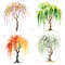4 Seasons Weeping Willow Tree Clipart Watercolor PNG Digital Download Seasonal Tree Art For Prints  5
