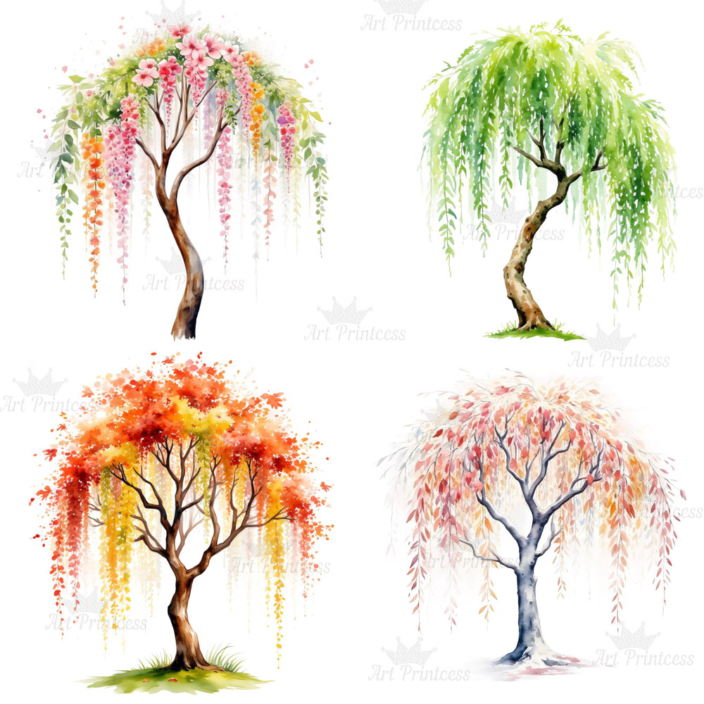 4 Seasons Weeping Willow Tree Clipart Watercolor PNG Digital Download Seasonal Tree Art For Prints  6