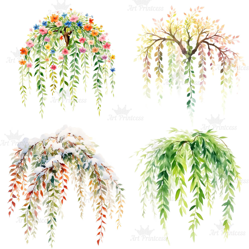 4 Seasons Weeping Willow Tree Clipart Watercolor PNG Digital Download Seasonal Tree Art For Prints  7