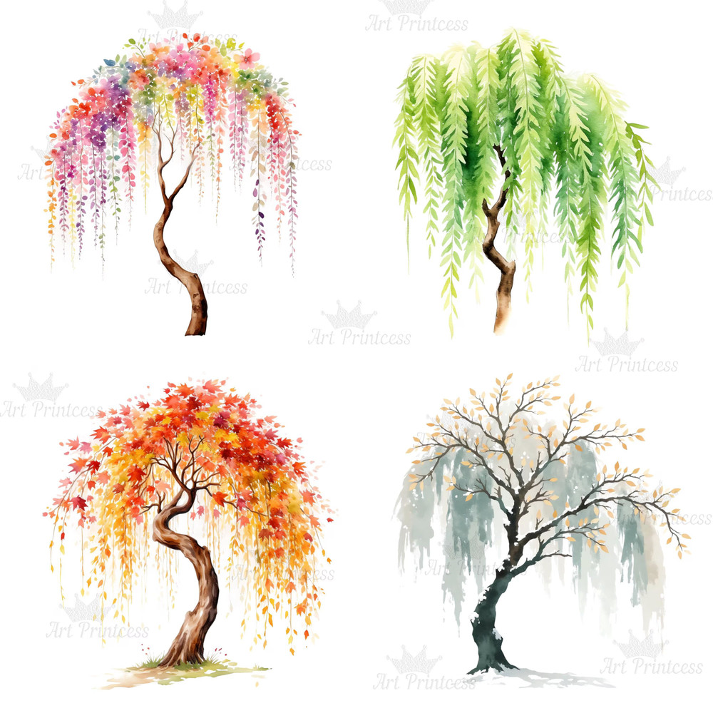 4 Seasons Weeping Willow Tree Clipart Watercolor PNG Digital Download Seasonal Tree Art For Prints  8