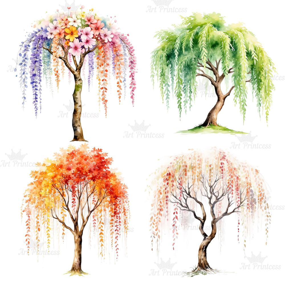 4 Seasons Weeping Willow Tree Clipart Watercolor PNG Digital Download Seasonal Tree Art For Prints  9