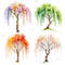 4 Seasons Weeping Willow Tree Clipart Watercolor PNG Digital Download Seasonal Tree Art For Prints  9