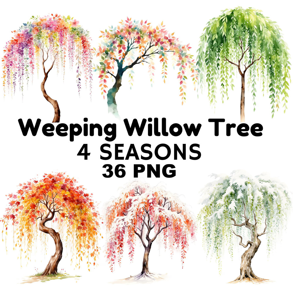 4 Seasons Weeping Willow Tree Clipart Watercolor PNG Digital Download Seasonal Tree Art For Prints  0